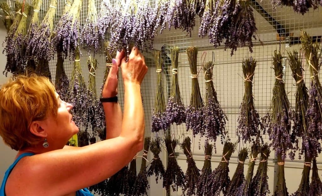 Trish Uptain Blackthorn Lavender Farm Tours West Virginia