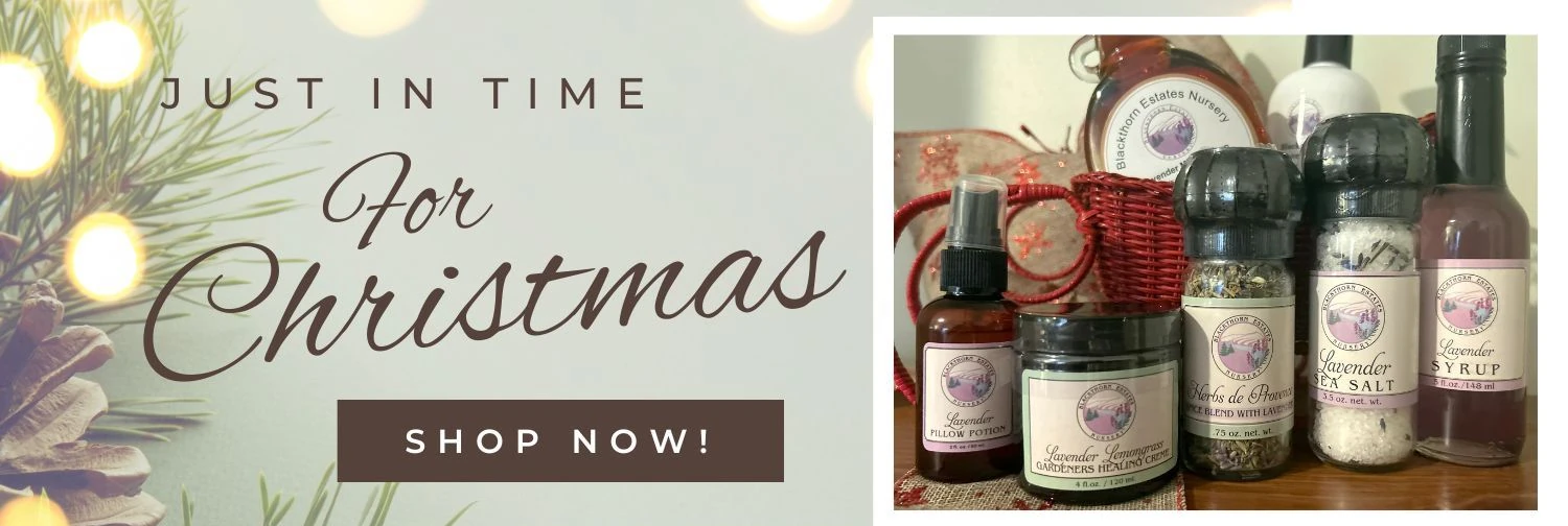 Christmas, christmas shopping, christmas deals, lavender, gift ideas, shop local